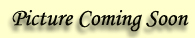 American Style Cow Horn Pen with Texas Clip