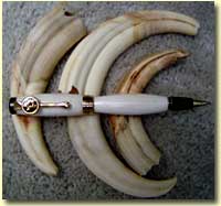 Warthog Tusks
